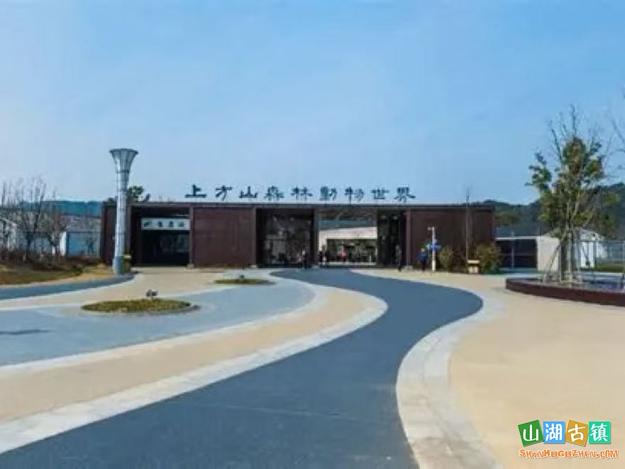 91c036dd47bcca88850a8bb45a4ec94d.jpg