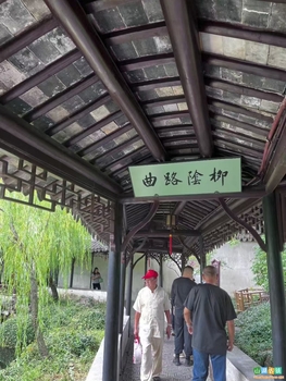 今日入画，拙政园的江南春