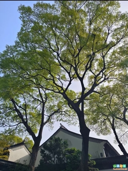 第一次江南之旅