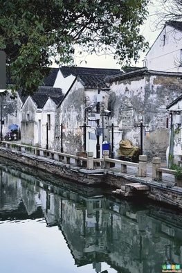 回来我逢人便说，苏州的春天有多浪漫！